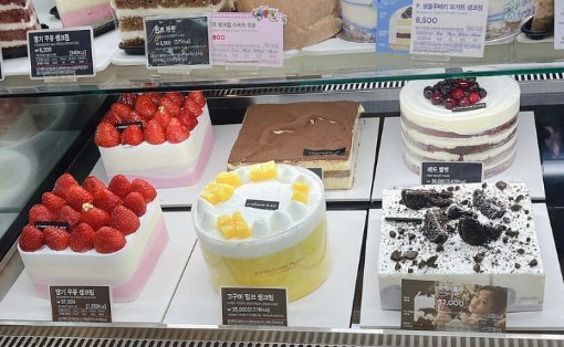 서울투썸 창업